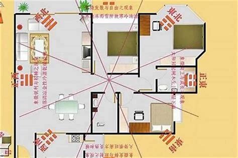 明财位放什么植物|住宅风水的“财位”怎么找和布置？13超详细图解来教你